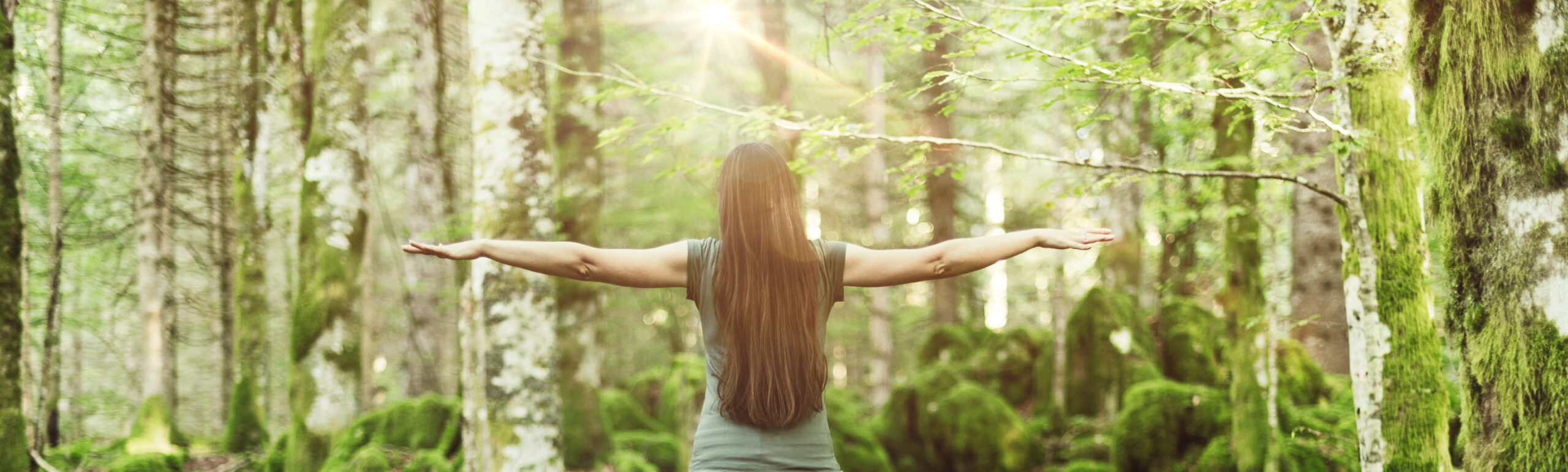 Woman,Spreading,Her,Arms,In,The,Forest,Back,View:,Balance,